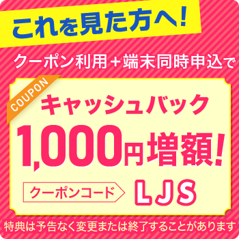 ビッグローブワイマックス500円クーポンコード