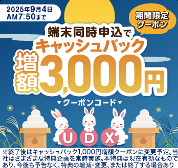 ビッグローブワイマックス500円クーポンコード