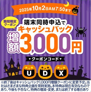 ビッグローブワイマックス500円クーポンコード